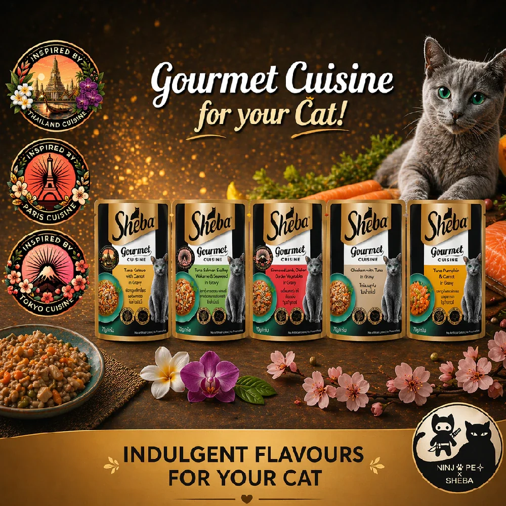 猫咪与多种风味猫粮的展示